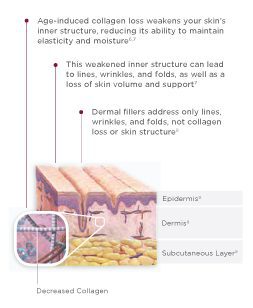 Why is collagen so important as we age? | Contour Dermatology Why is collagen so important as we age?