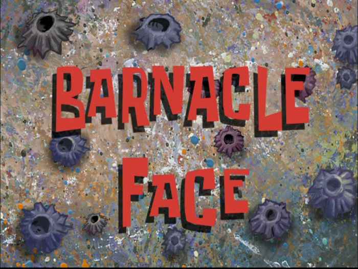 Barnacle Skin, Seborrheic Keratosis
